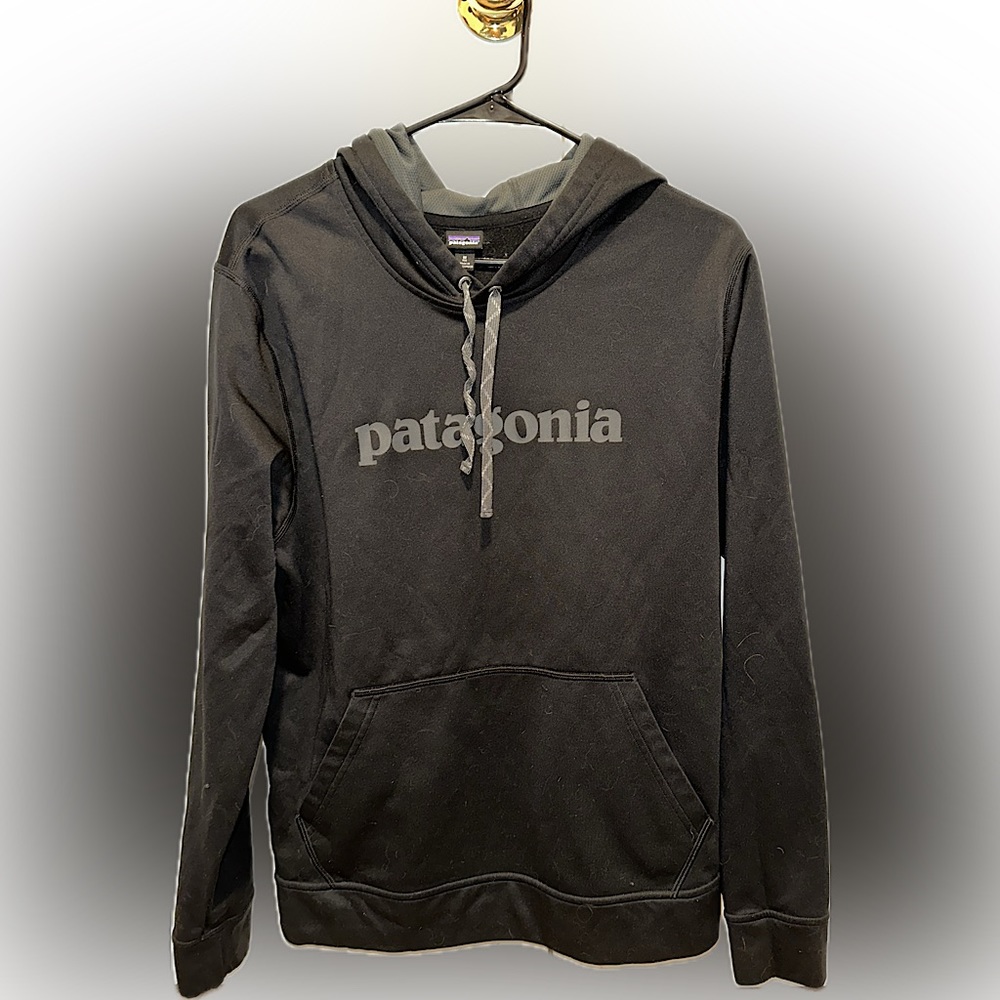 Patagonia Silver Logo Hoodie Sweatshirt